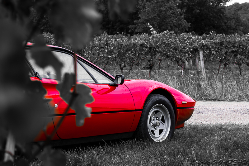 2015_1004_Ferrari_Gers%20(268)-2.jpg