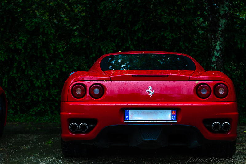 _MG_6448.jpg