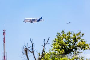 2018 0719 1erVol AirbusBelugaXL (103)