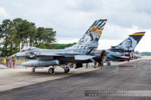 2019 0517 TigerMeet MontDeMarsan (1090)