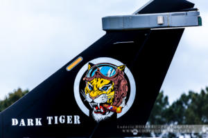 2019 0517 TigerMeet MontDeMarsan (776)